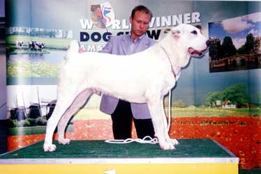 Maciek. 8 mesi - Best Puppy on the World 2002